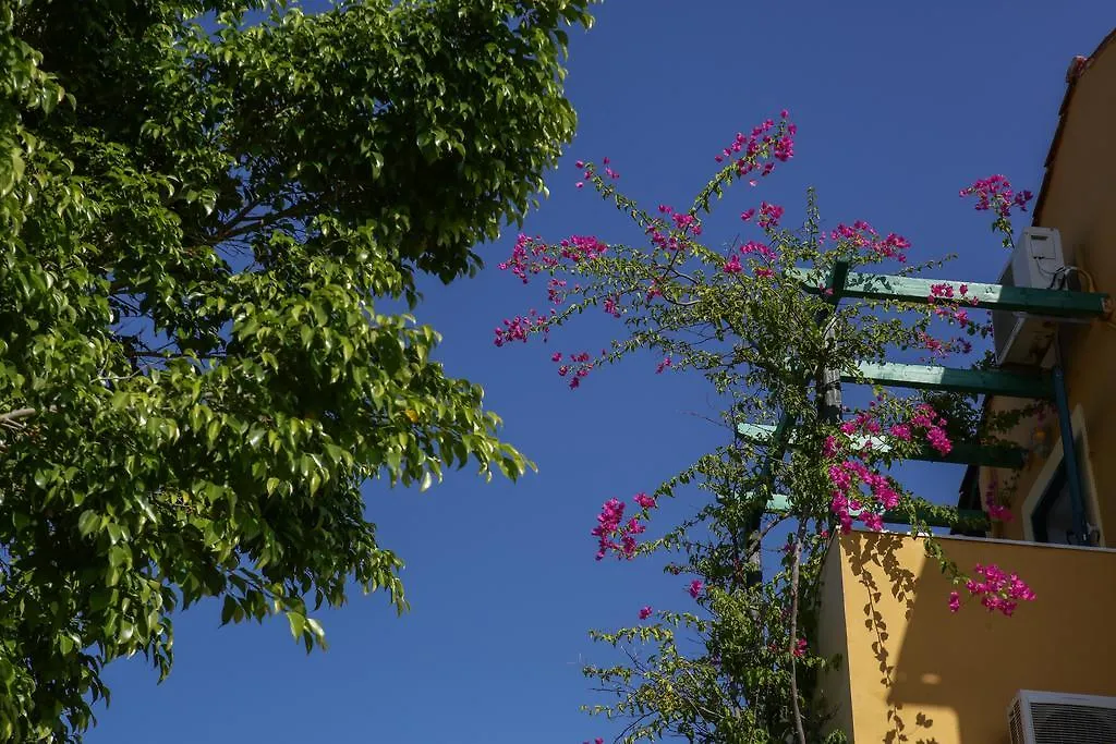 Sandy Beach Villas And Apartments Svoronata